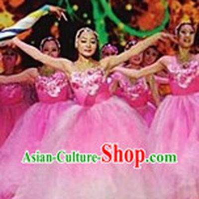 Butterfly and Flower Stage Performance Dance Costumes Complete Set