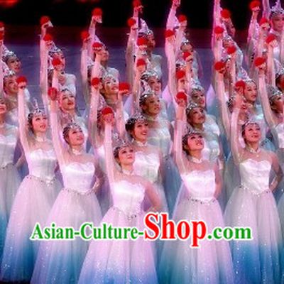 Swan Stage Performance Dance Costumes and Headwear Complete Set