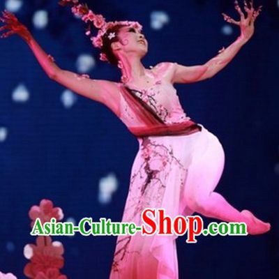 Traditional Chinese Pink Plum Blossom Classical Dancing Costume Complete Set