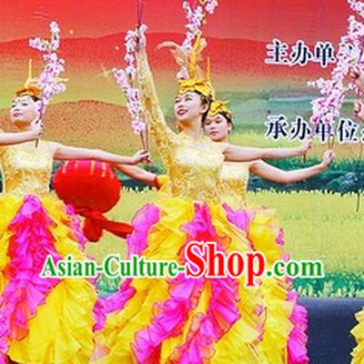 Novelty Dance Costumes and Headdress Complete Set