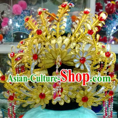 Ancient Chinese Phoenix Coronet