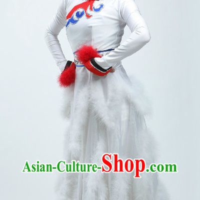 High Collar Chinese Folk Cranes Dance Costumes with Feather