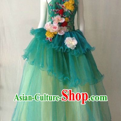 Professional Stage Performance Eveing Dress