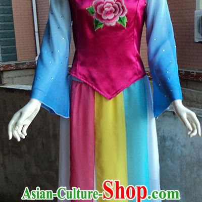 Classical Dancing Stage Performance Dance Costumes for Women