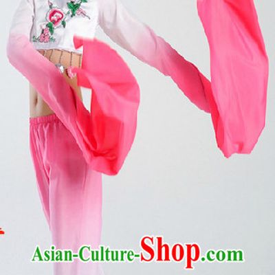 Chinese Water Sleeve Dance Costumes for Women