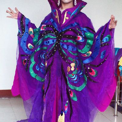 Li Yugang Top Stage Performance Butterfly Costumes Complete Set