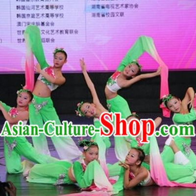 Traditional Chinese One Long Sleeve Dance Costumes and Headdress