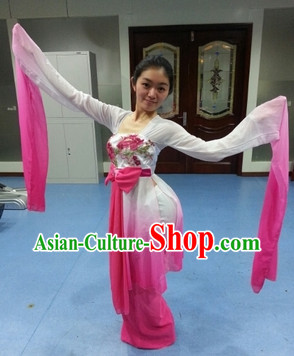 Traditional Chinese Goddess in the Moon Water Sleeve Dance Costumes and Headwear