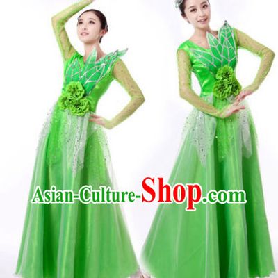 Traditional Chinese Green Leaf Dancing Clothes and Hair Accessories