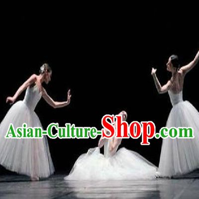 Special Custom Make Ballet Dance Costumes and Hair Decoration