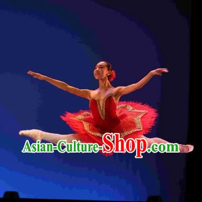 Professional Adult Size Ballet Dance Costumes Complete Set