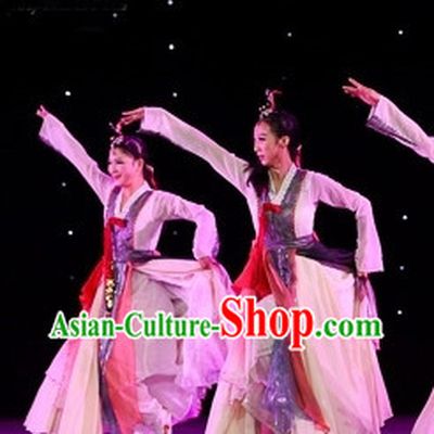 Ancient Korean Fan Dancing Costumes