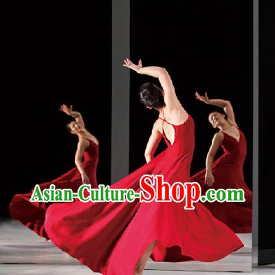 Professional Stage Performance Modern Dance Skirt
