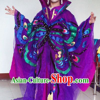 Li Yugang Opera Concert Stage Performance Butterfly Costumes, Wig and Hair Accessories
