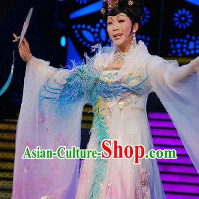 Professional Touring Concert Phoenix Costumes and Hair Accessories Complete Set