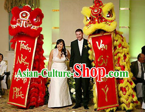 Chinese lunar new year lion dance costumes Chinese lunar new year lion dance costumes