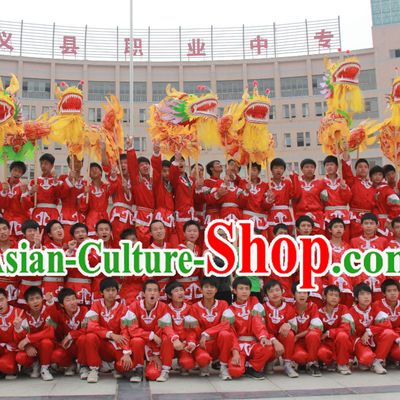 Chinese Dragon Costume Adult Complete Set for Four People
