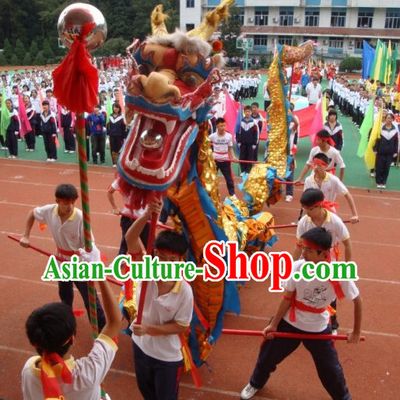 Chinese New Year Adult Gold Armor Dragon Costume Complete Set