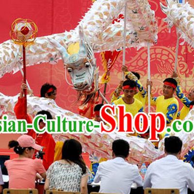 Silver Net Dragon Dance Costume Complete Set