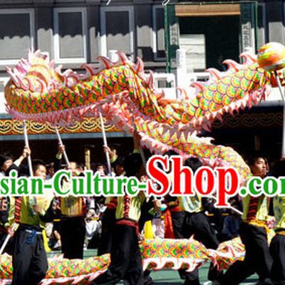 High School Luminous Dragon Dance Equipments Complete Set