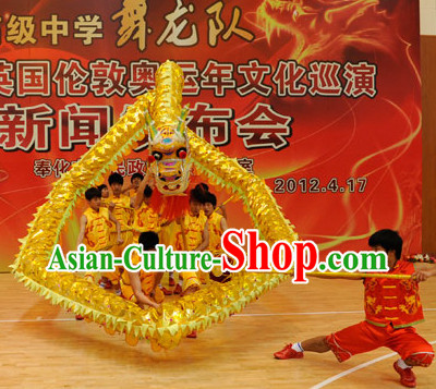 dragon dancing dragon dancing