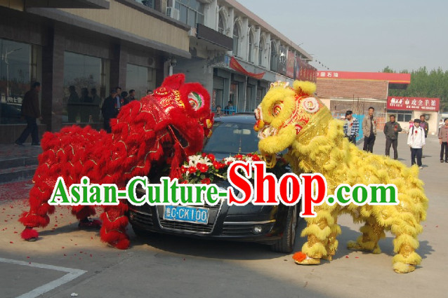 lion dance lion dance