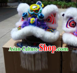 lion and dragon dance lion and dragon dance