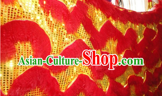 dragon and lion dance dragon and lion dance