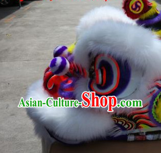 dragon lion dance dragon lion dance