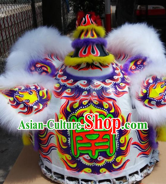 dragon lion dance dragon lion dance