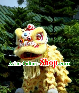 lion and dragon dance lion and dragon dance
