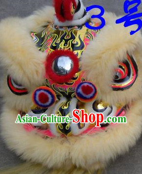Asian Chinese Lion Costumes