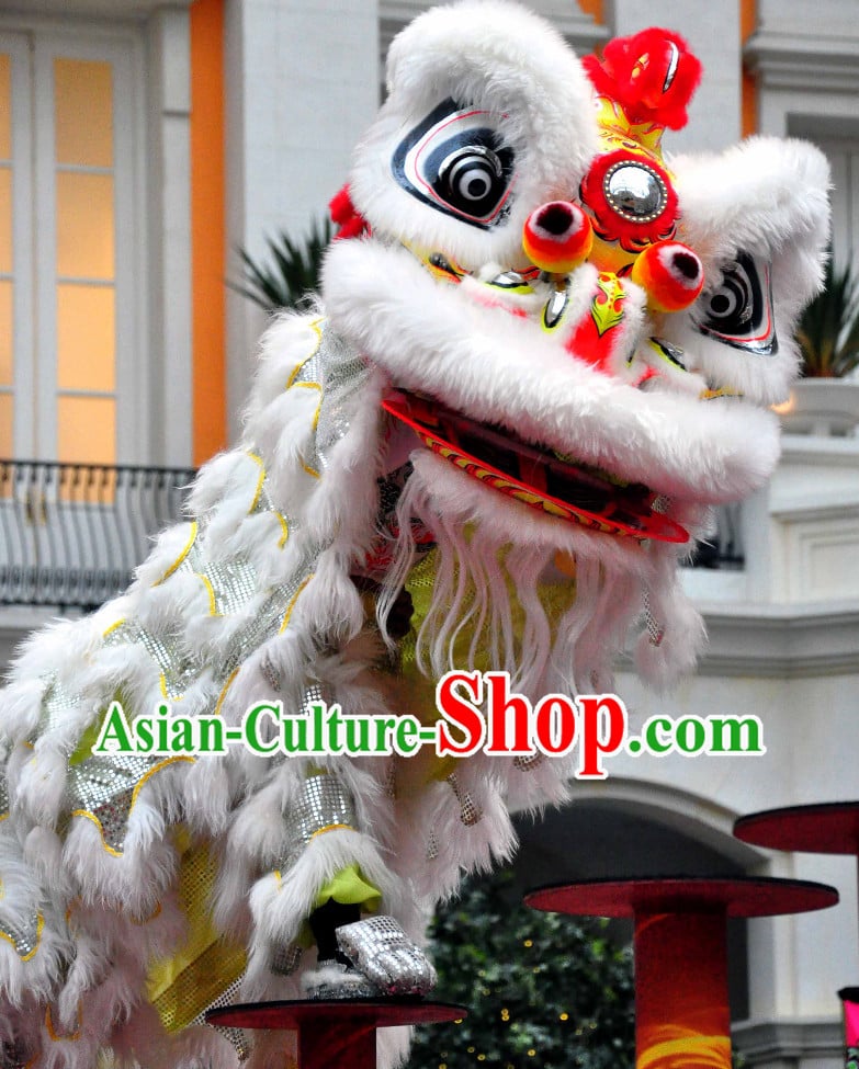 lion dance lion dance