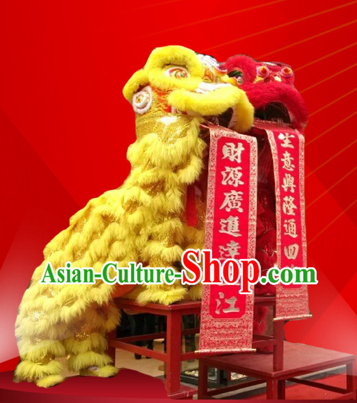 dragon dancers dragon dancers