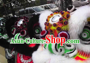 lion and dragon dance lion and dragon dance