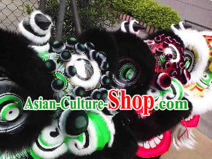 lion and dragon dance lion and dragon dance