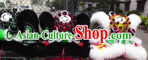 lion and dragon dance lion and dragon dance