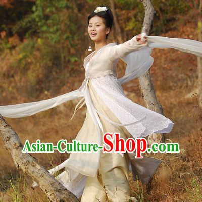 Ancient Chinese Fairy Movies Costume and Hair Accessories