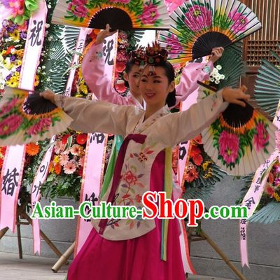 Korean Fan Dancing Costumes Carnival Costumes Traditional Costumes for Women