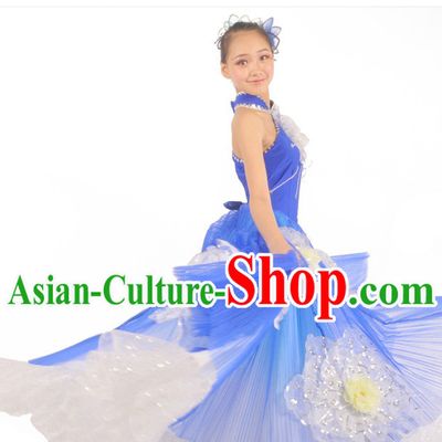 China Dance Costumes Ballerina Costume Burlesque Costumes Salsa Costumes,