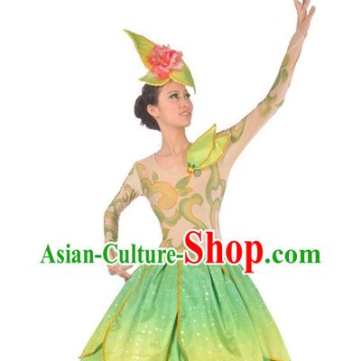 China Dance Costumes Ballerina Costume Burlesque Costumes Salsa Costumes,