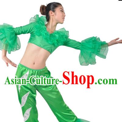 China Modern Dance Costumes Ballerina Costume Burlesque Costumes Salsa Costumes