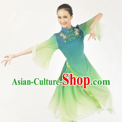 Custom Made Chinese Classical Dance Costumes Ballerina Costume Burlesque Costumes Salsa Costumes
