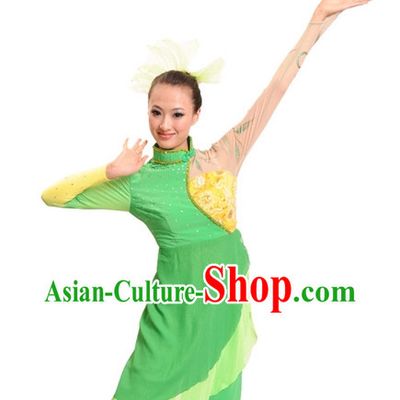 China Shop Chinese Fan Dance Costumes Girl Dancewear for Women