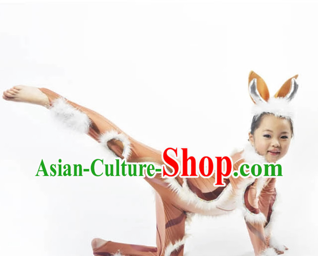 hanfu Chinese costume national costumes carnival costumes Dance Costume