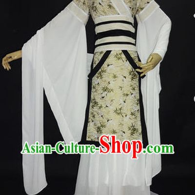 Asian Fashion Chinese Hanfu Costumes Halloween Costumes for Women