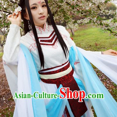 Chinese Costume Asian Fashion China Civilization Swordwoman Carnival Costumes for Women