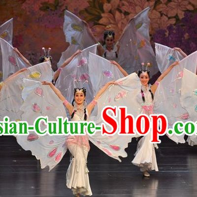 Chinese Butterfly Love Liang Zhu Costumes and Headwear Complete Set
