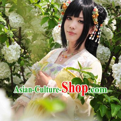 Chinese Fairy Adult Halloween Costumes and Hair Jewelry Complete Set