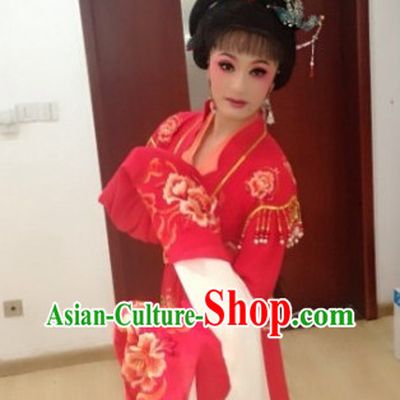 Chinese Shaosing Opera Water Sleeve Hua Dan Costumes